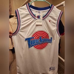 NWT Champion Tune Squad Bill Murray Jersey, size L, *small stain*